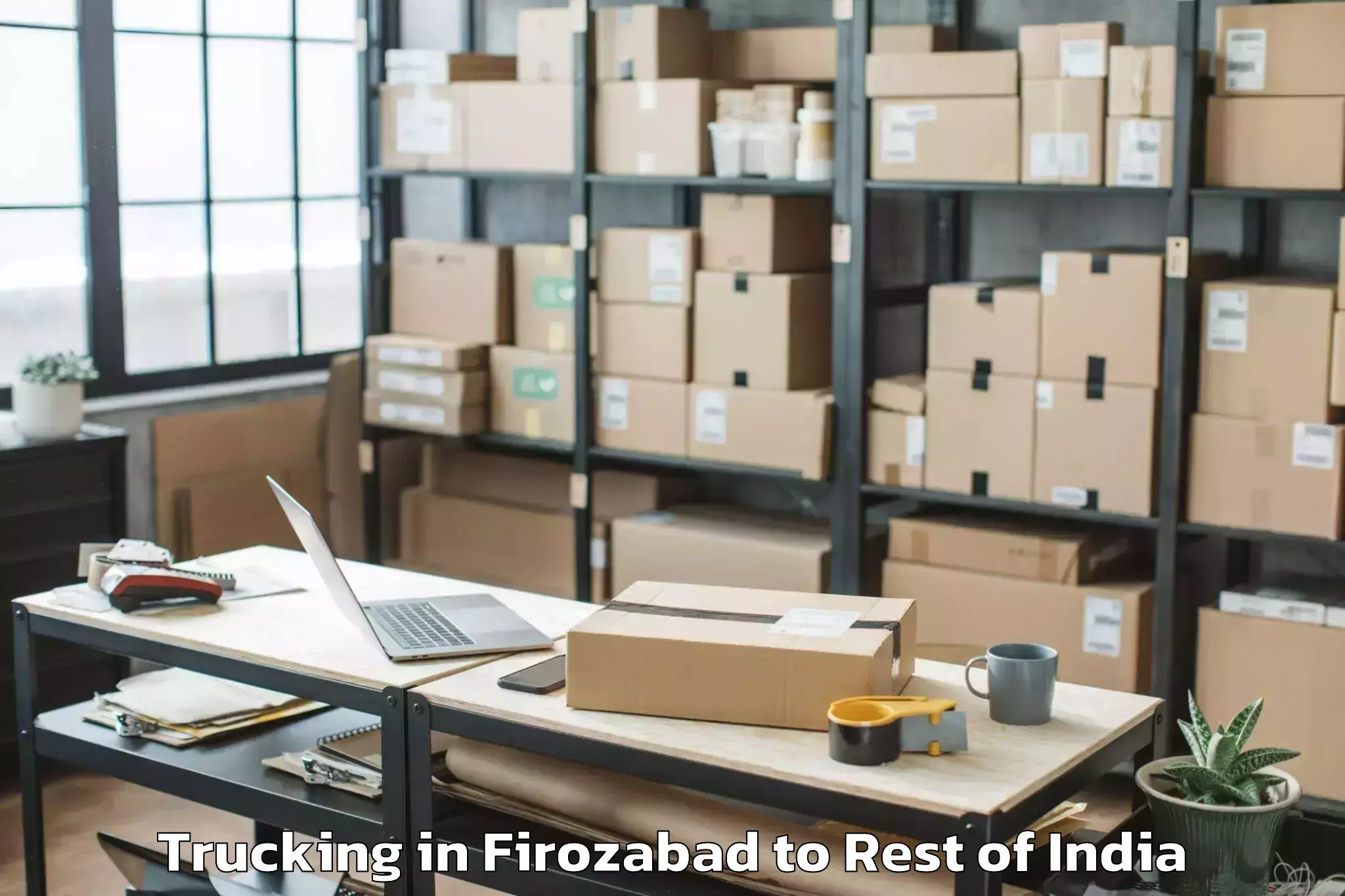 Book Firozabad to Nyapin Trucking Online